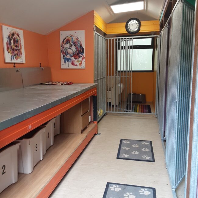 Woofy Woods dog kennels in Worcestershire